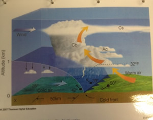 weather chart